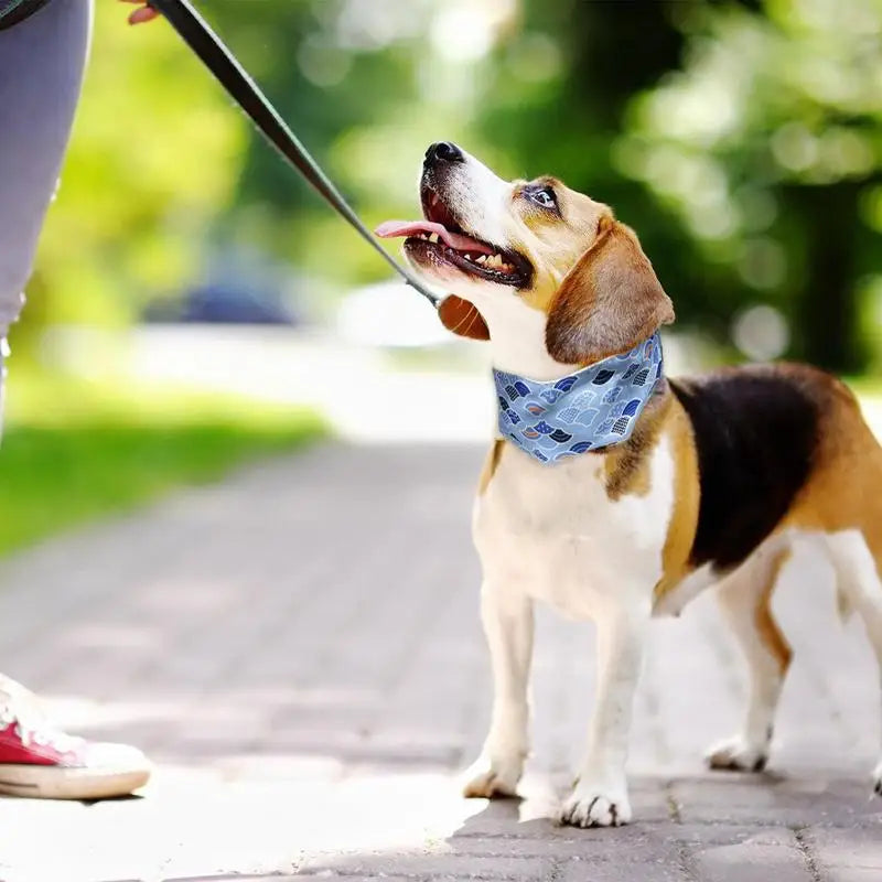 Bandana refrescante para cães e gatos - Alívio imediato e refrescante suave