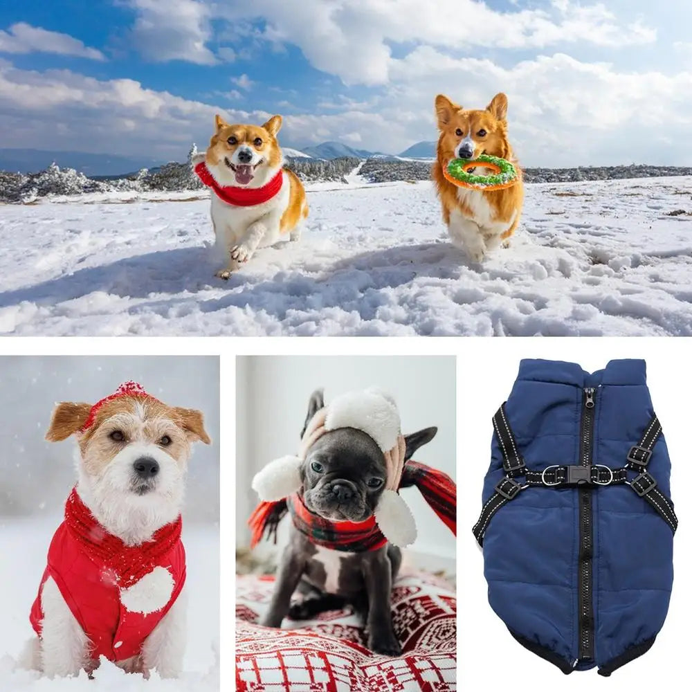 Casaco quente com arnês integrado – Inverno tranquilo para o seu cão