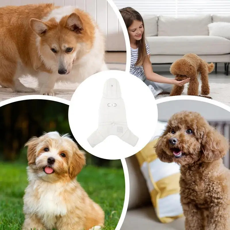 Casaco impermeável com capuz para cães, elegante e protegido
