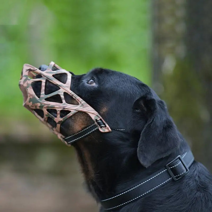 Focinheira vazada para cães grandes, conforto e controle