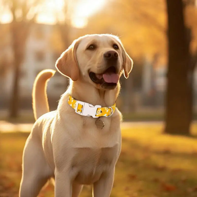 Coleira de algodão amarela para cachorro – Divertida, confortável e macia no pescoço
