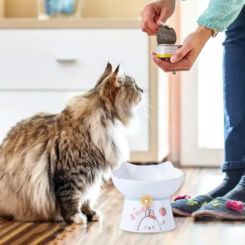 Tigela elevada para gatos – Alimentação sem dor todos os dias