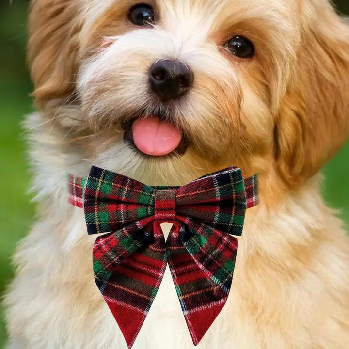 Coleira de gravata borboleta para cachorro – elegância chique do dia a dia