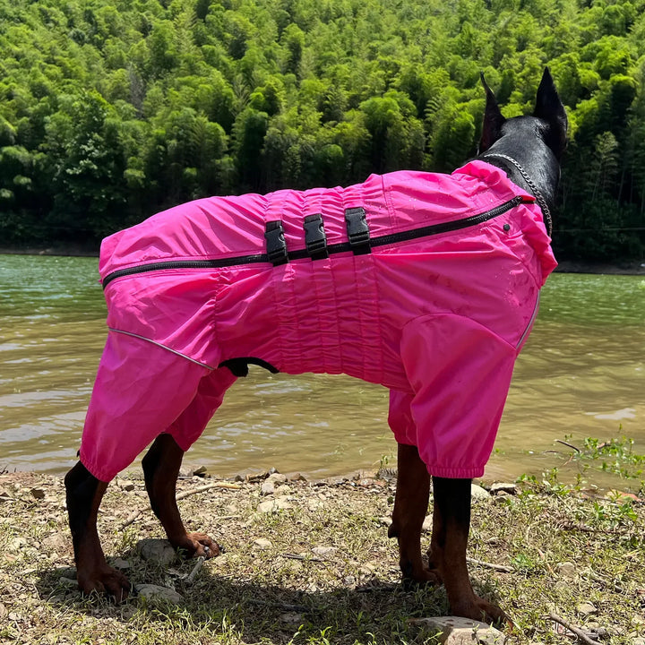 Capa de chuva 4-Paw para cães – Conforto, estilo e proteção