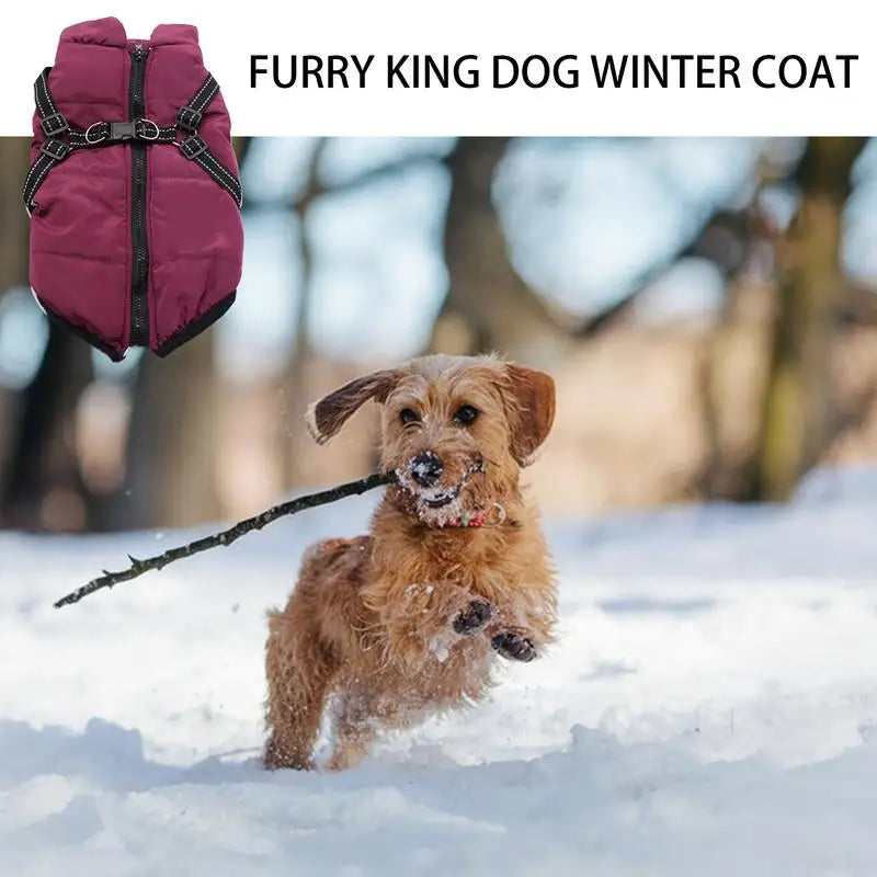 Casaco quente com arnês integrado – Inverno tranquilo para o seu cão