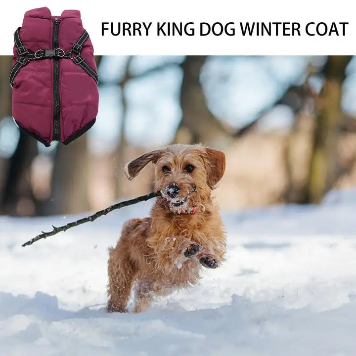 Casaco quente com arnês integrado – Inverno tranquilo para o seu cão