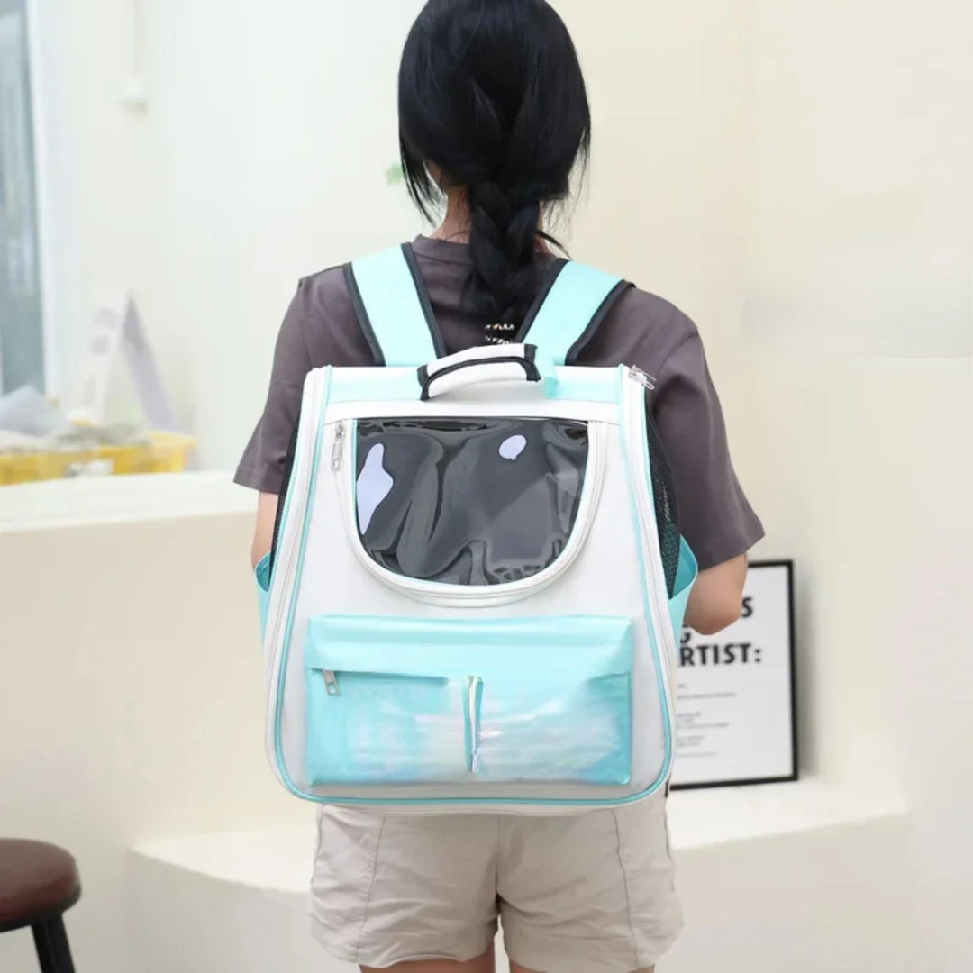 Bolsa de transporte para gatos e cães pequenos: avião, conforto, liberdade