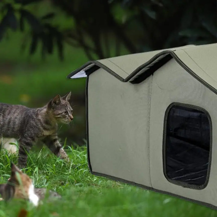 Abrigo para gatos à prova d'água ao ar livre: um verdadeiro refúgio de amor