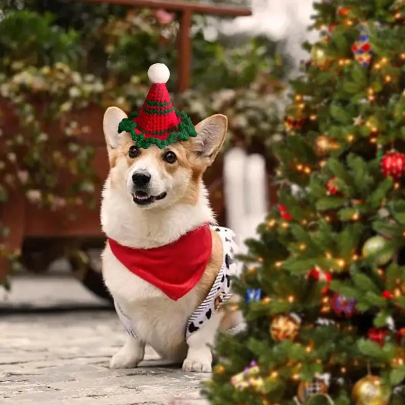 Chapéu de Natal de Gato ou Cachorro - O Pequeno Detalhe Que Toca Corações