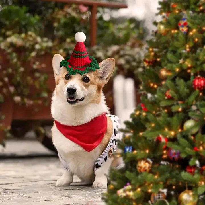 Chapéu de Natal de Gato ou Cachorro - O Pequeno Detalhe Que Toca Corações