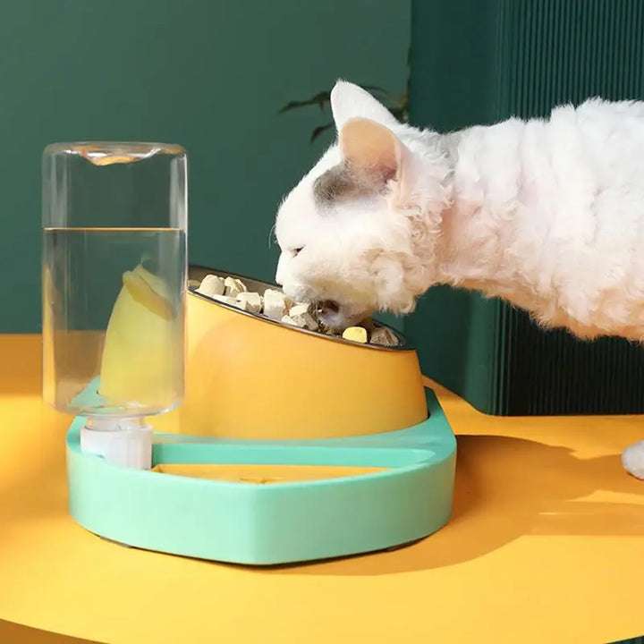 Tigela para gatos 3 em 1 – Hidratada, bem alimentada e segura