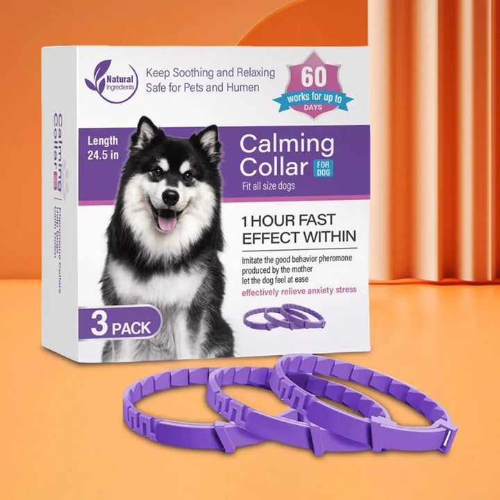 Coleira calmante para cães e gatos: a calma retorna sem dizer uma palavra