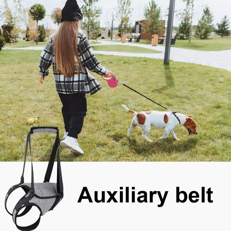 Arnês de segurança para cães mais velhos, suporte gentil e respeitoso