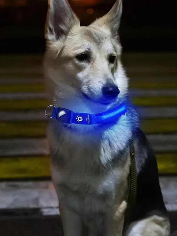 Coleira luminosa AirTag para cães: visível, localizável e reconfortante, dia e noite