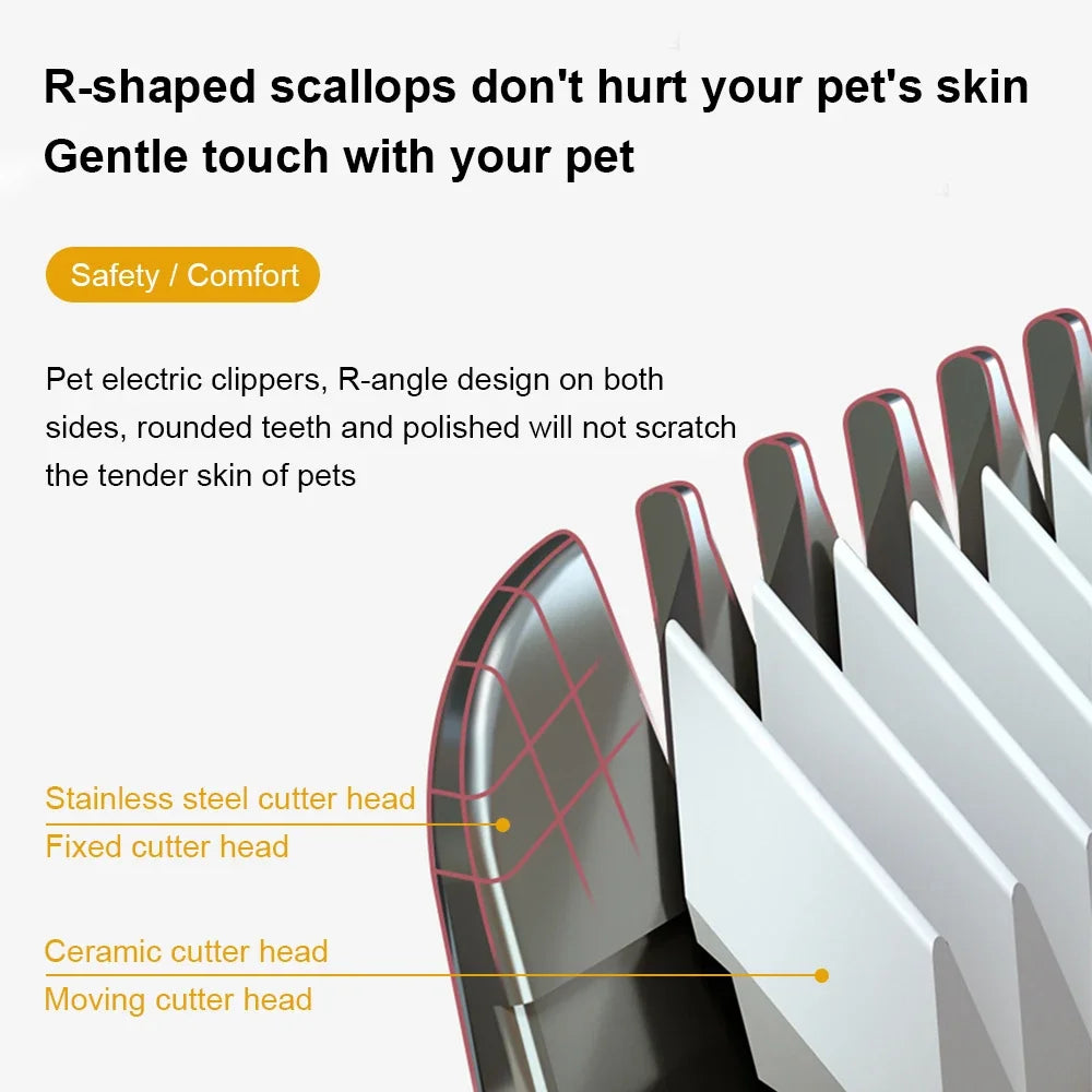 Tratamento destemido para cães e gatos sensíveis