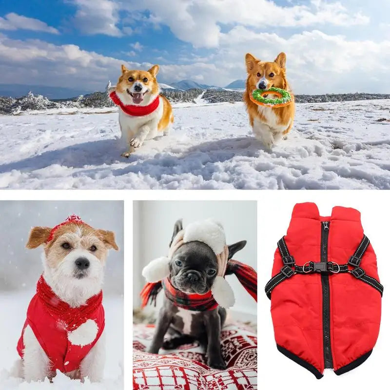 Casaco quente com arnês integrado – Inverno tranquilo para o seu cão