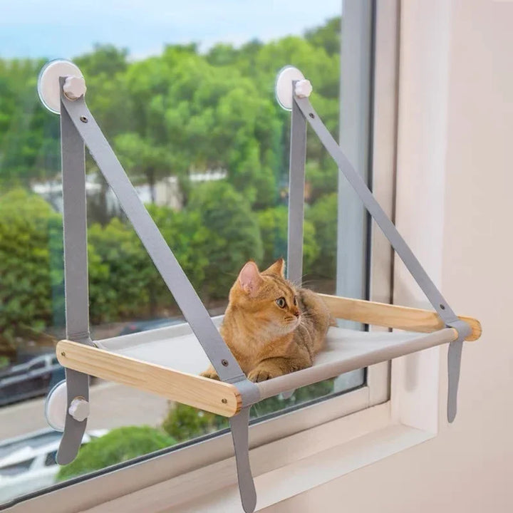 Cama de rede para gatos: seu canto alto secreto