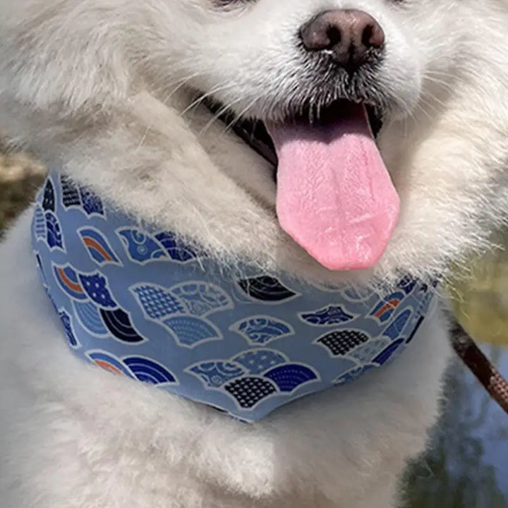 Bandana refrescante para cães e gatos - Alívio imediato e refrescante suave