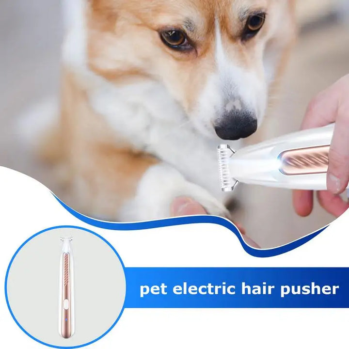 Cortadores de patas para cães e gatos: suaves, LED, sem estresse
