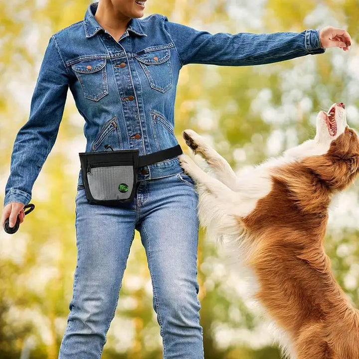Saco de petiscos para cães: treine melhor e reaja rápido