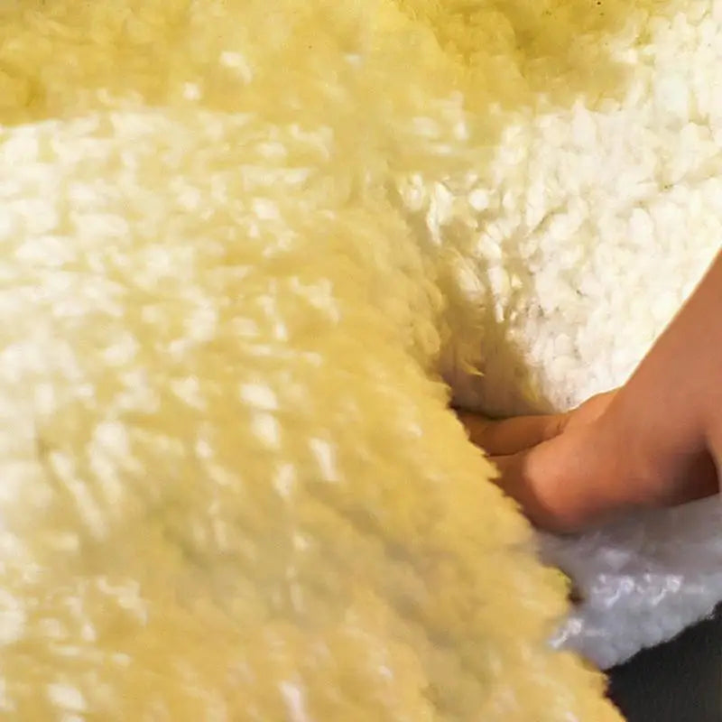 Cat Nest Cocoon – Macio, reconfortante, irresistível