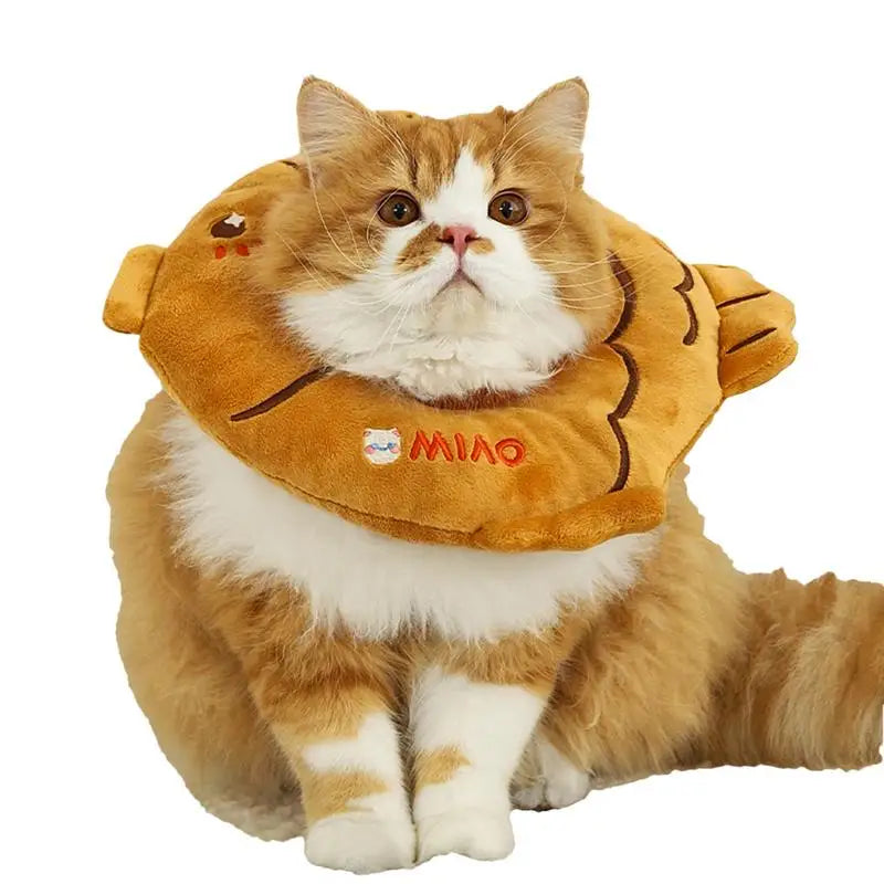 Coleira pós-operatória para gatos: maciez, conforto e proteção