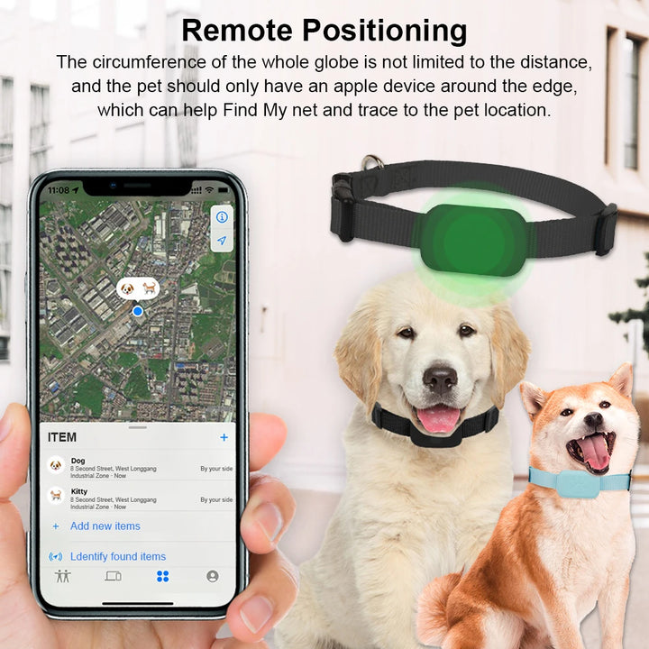 Coleira GPS para cães e gatos: visível, localizável e sempre encontrável