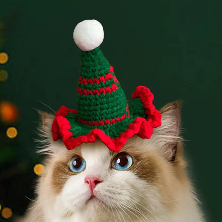 Chapéu de Natal de Gato ou Cachorro - O Pequeno Detalhe Que Toca Corações