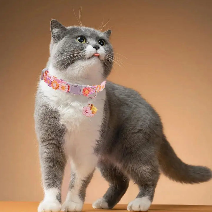 Colar de gatinho floral: ternura, estilo e cumplicidade