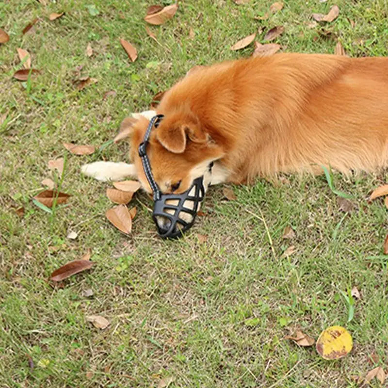 Focinho macio para cães sensíveis, amados e protegidos