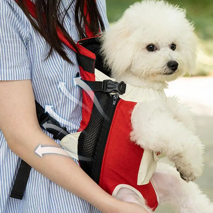 Mochila para transporte de cães e gatos: casulo macio, vínculo intacto, coração leve