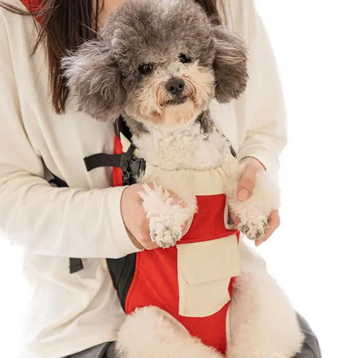 Mochila para transporte de cães e gatos: casulo macio, vínculo intacto, coração leve