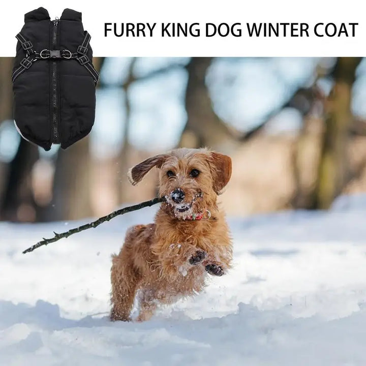 Casaco quente com arnês integrado – Inverno tranquilo para o seu cão