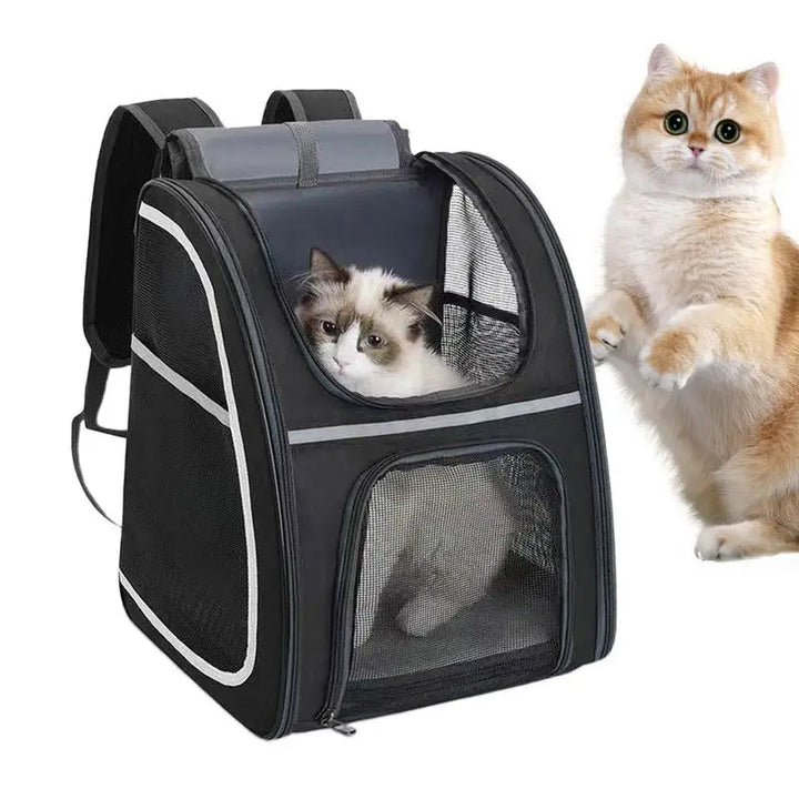 Mochila para gatos e cães pequenos: confortável, dobrável e sempre pronta para levar