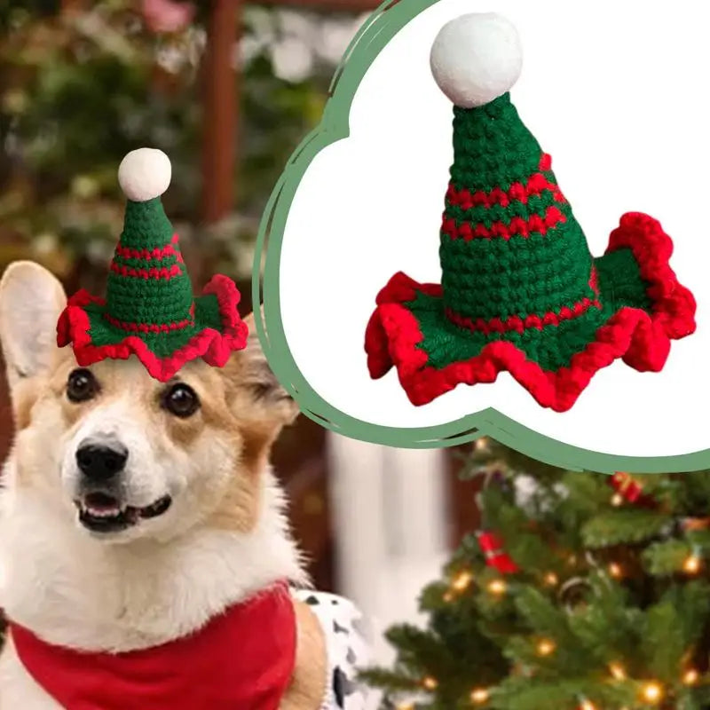 Chapéu de Natal de Gato ou Cachorro - O Pequeno Detalhe Que Toca Corações