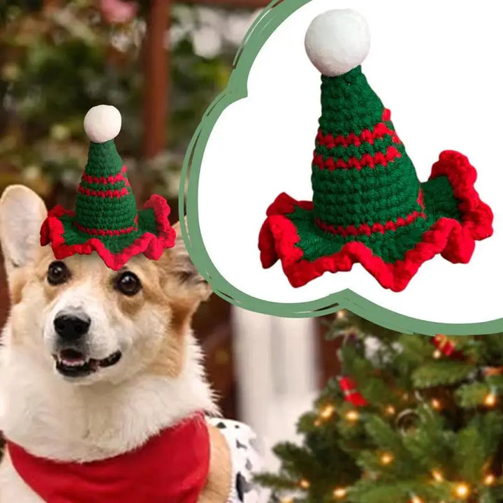 Chapéu de Natal de Gato ou Cachorro - O Pequeno Detalhe Que Toca Corações