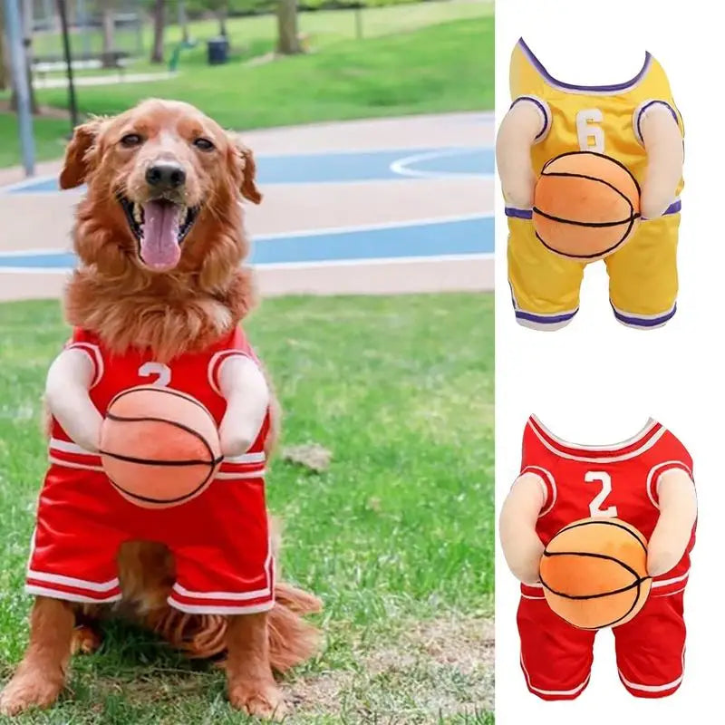 Fantasia de jogador de basquete para cães: transforme seu cão em uma estrela da sala de estar