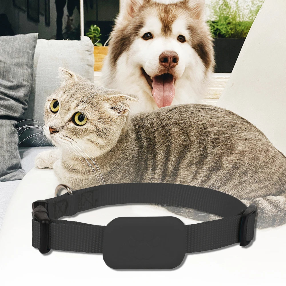 Coleira GPS para cães e gatos: visível, localizável e sempre encontrável