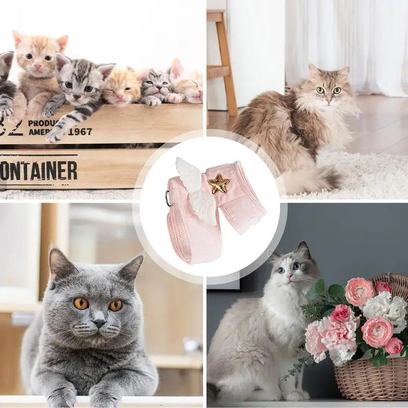 Arnês para gatinhos com asas de anjo macias e respiráveis
