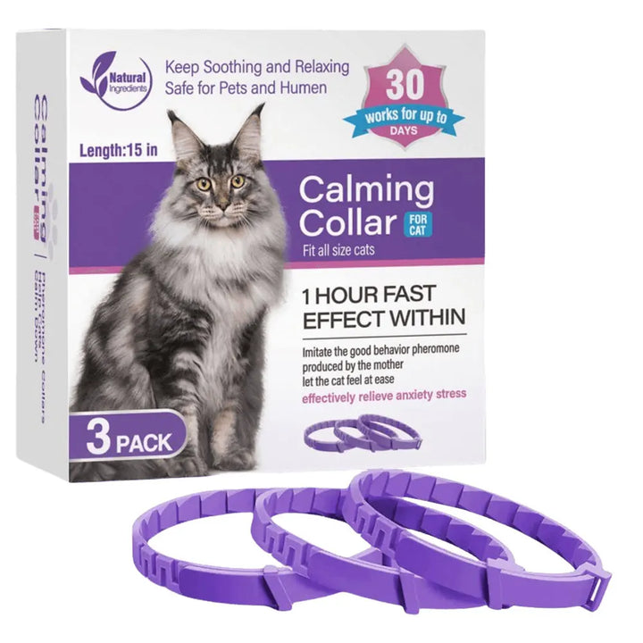 Coleira calmante para cães e gatos: a calma retorna sem dizer uma palavra