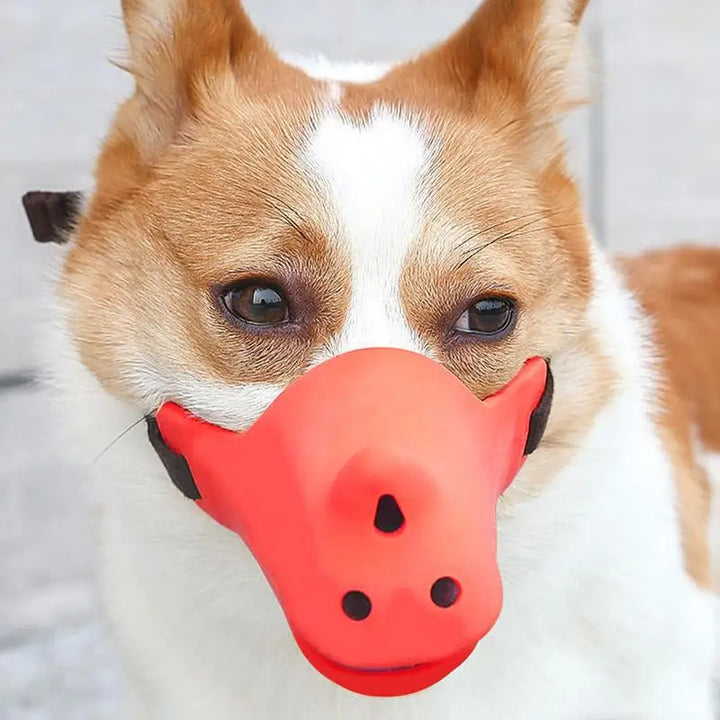 Focinho macio para cães amados e respeitados