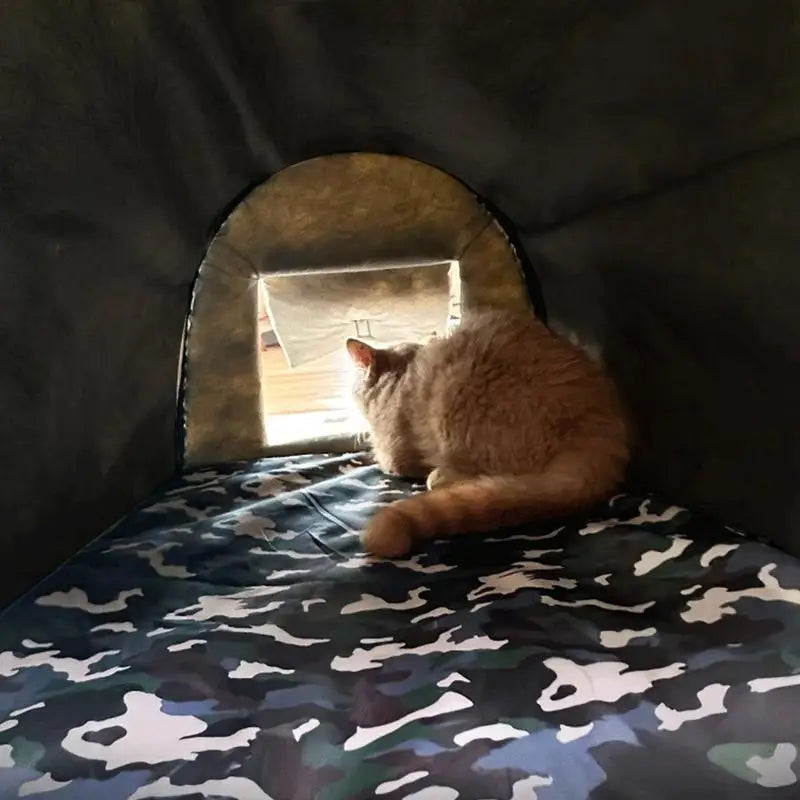 Abrigo para gatos ao ar livre – calor e proteção no inverno