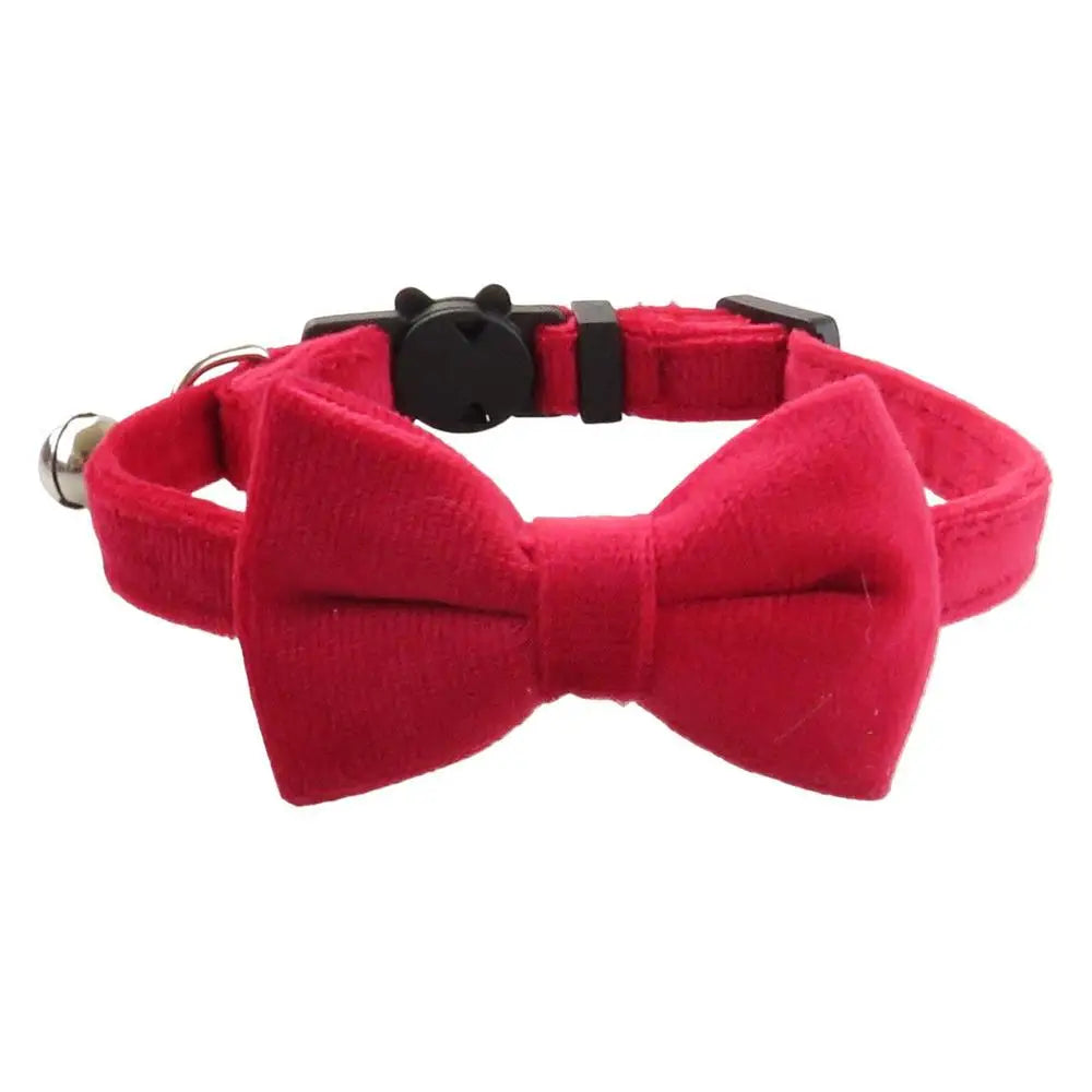 Coleira de gravata borboleta para cães e gatos: elegância discreta, amor visível, memórias preciosas