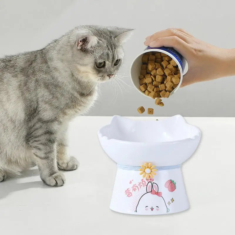 Tigela elevada para gatos – Alimentação sem dor todos os dias