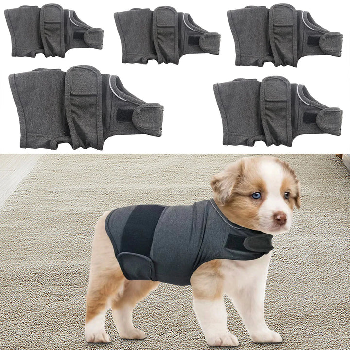 Um abraço contínuo para cães ansiosos ou estressados
