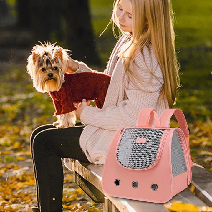 Bolsa para cães e gatos: liberdade e ternura nos passeios