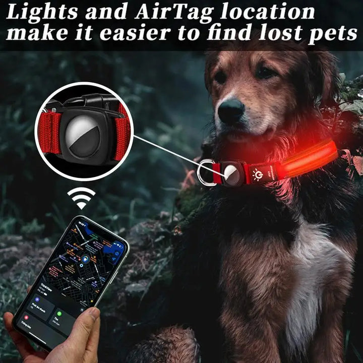 Coleira luminosa AirTag para cães: visível, localizável e reconfortante, dia e noite