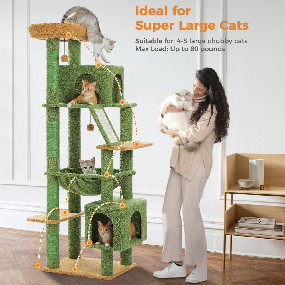 Um território majestoso para grandes felinos poderosos