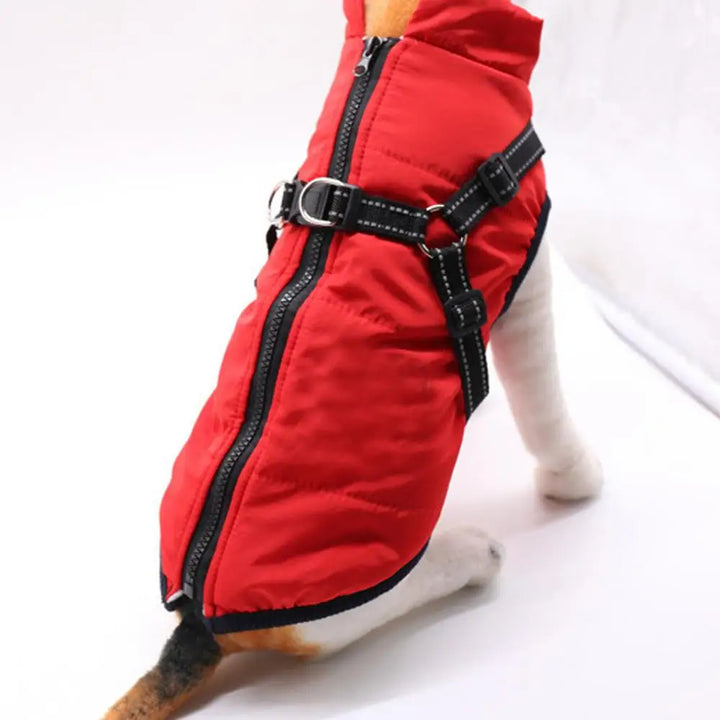 Casaco quente com arnês integrado – Inverno tranquilo para o seu cão