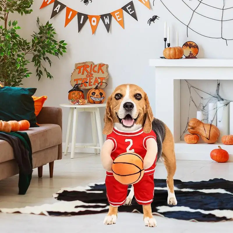 Fantasia de jogador de basquete para cães: transforme seu cão em uma estrela da sala de estar